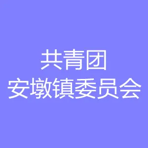 共青团安墩镇委员会