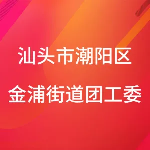汕头市潮阳区金浦街道团工委