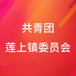 共青团莲上镇委员会