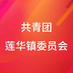共青团莲华镇委员会