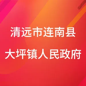 清远市连南县大坪镇人民政府