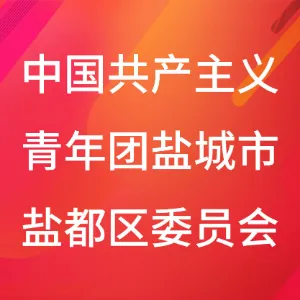 中国共产主义青年团盐城市盐都区委员会