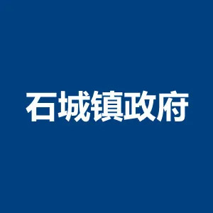 廉江市石城镇人民政府