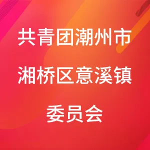 共青团潮州市湘桥区意溪镇委员会