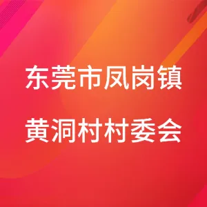 东莞市凤岗镇黄洞村村民委员会