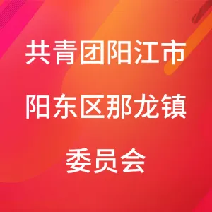 共青团阳江市阳东区那龙镇委员会