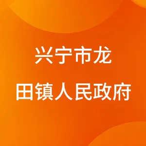 兴宁市龙田镇人民政府