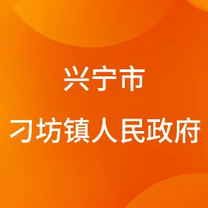 兴宁市刁坊镇人民政府