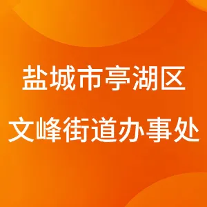 盐城市亭湖区人民政府文峰街道办事处