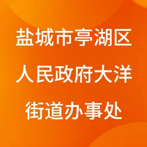 盐城市亭湖区人民政府大洋街道办事处