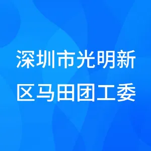 深圳市光明区马田团工委