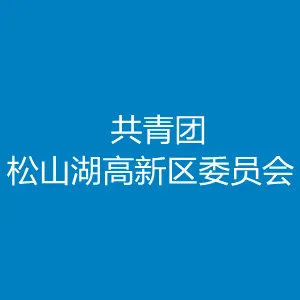 共青团松山湖高新区委员会