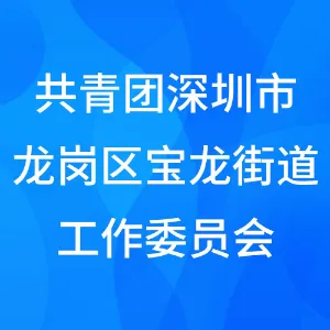 共青团深圳市龙岗区宝龙街道工作委员会