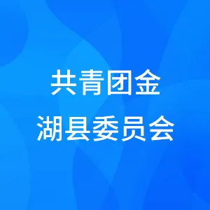 共青团金湖县委员会