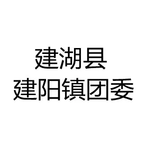 建湖县建阳镇团委