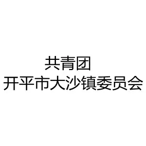 共青团开平市大沙镇委员会