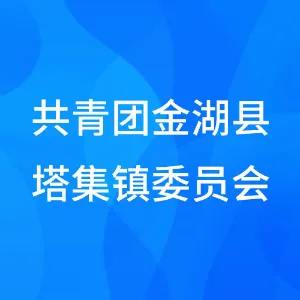 共青团金湖县塔集镇委员会