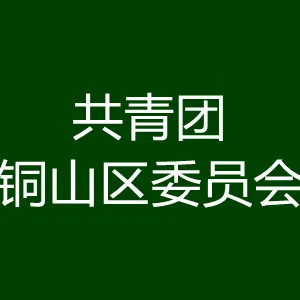 共青团铜山区委员会