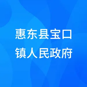 惠东县宝口镇人民政府