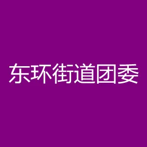 东环街道团委