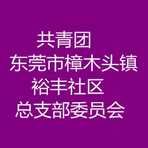 中国共产主义青年团东莞市樟木头镇裕丰社区总支部委员会