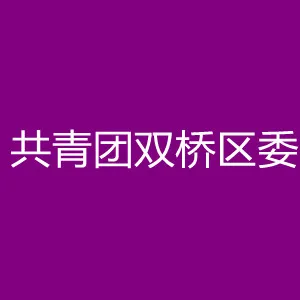 共青团双桥区委
