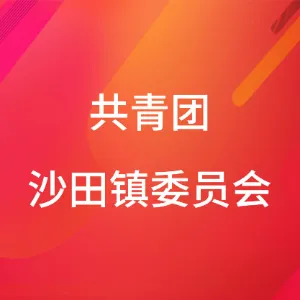 共青团沙田镇委员会