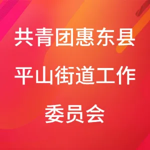 共青团惠东县平山街道工作委员会