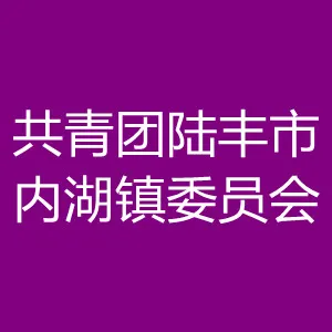 陆丰市内湖镇人民政府