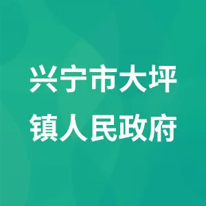 兴宁市大坪镇人民政府