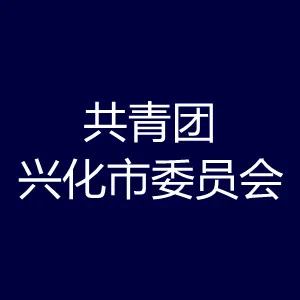 共青团兴化市委员会