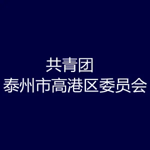 中国共产主义青年团泰州市高港区委员会