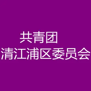 中国共产主义青年团安市清江浦区委员会