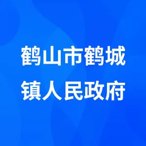 鹤山市鹤城镇人民政府
