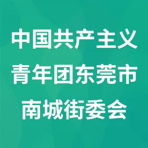 中国共产主义青年团东莞市南城街道委员会