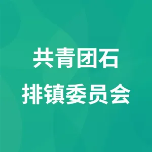 共青团石排镇委员会
