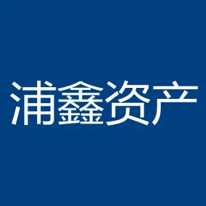 广州浦鑫资产管理有限公司