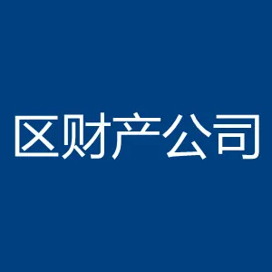 佛山市禅城区财产经营有限公司