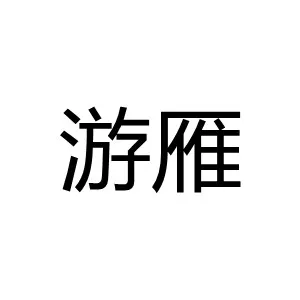 上海游雁网络科技有限公司