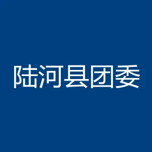 共青团陆河县委员会