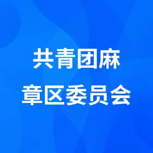 共青团麻章区委员会