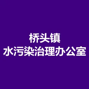 东莞市桥头镇水污染治理办公室