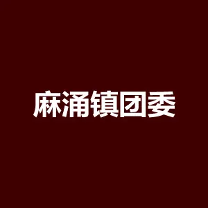中国共产主义青年团东莞市麻涌镇委员会