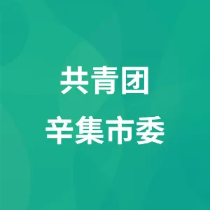 共青团辛集市委