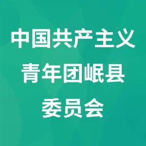 中国共产主义青年团岷县委员会