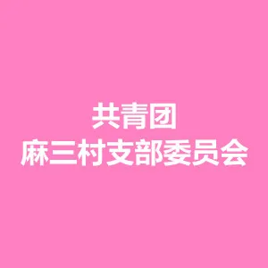 东莞市麻涌镇麻三村支部委员会