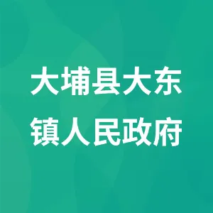 大埔县大东镇人民政府