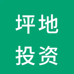 深圳市龙岗区坪地镇投资管理有限公司