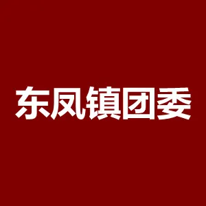 共青团中山市东凤镇委员会
