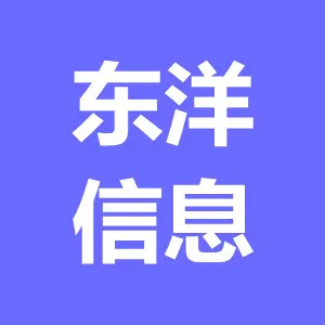 长沙东洋信息咨询有限公司